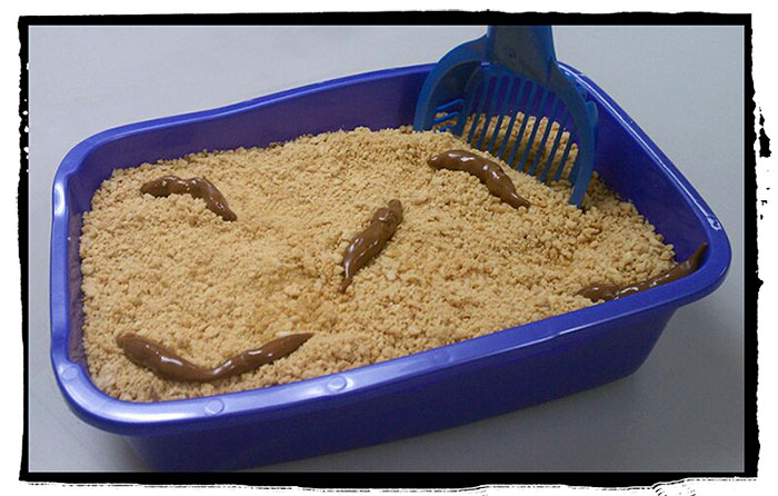 Fuca Kitty Litter Cake